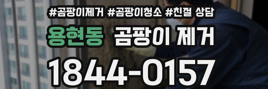 용현동 곰팡이 제거
