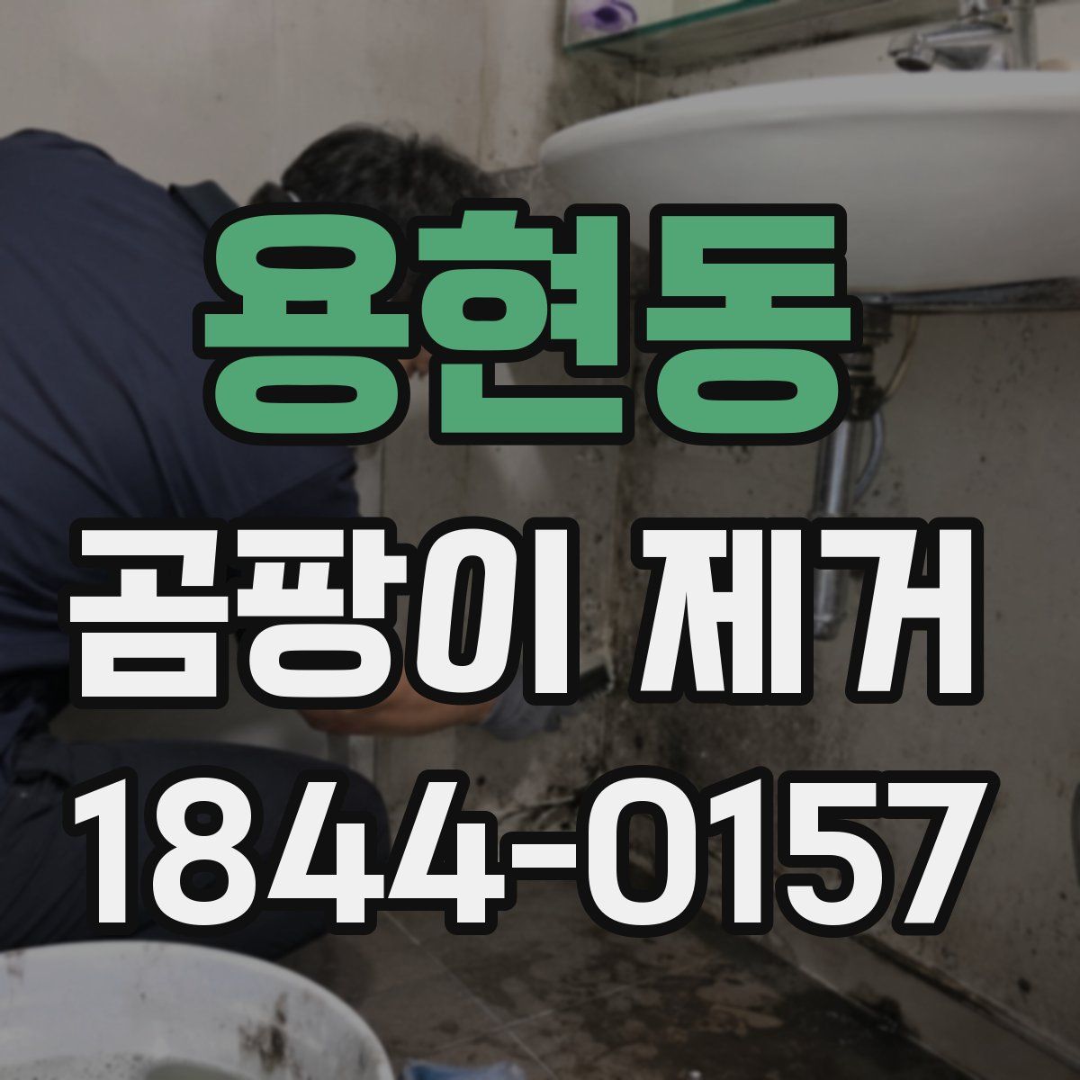 용현동 곰팡이 제거