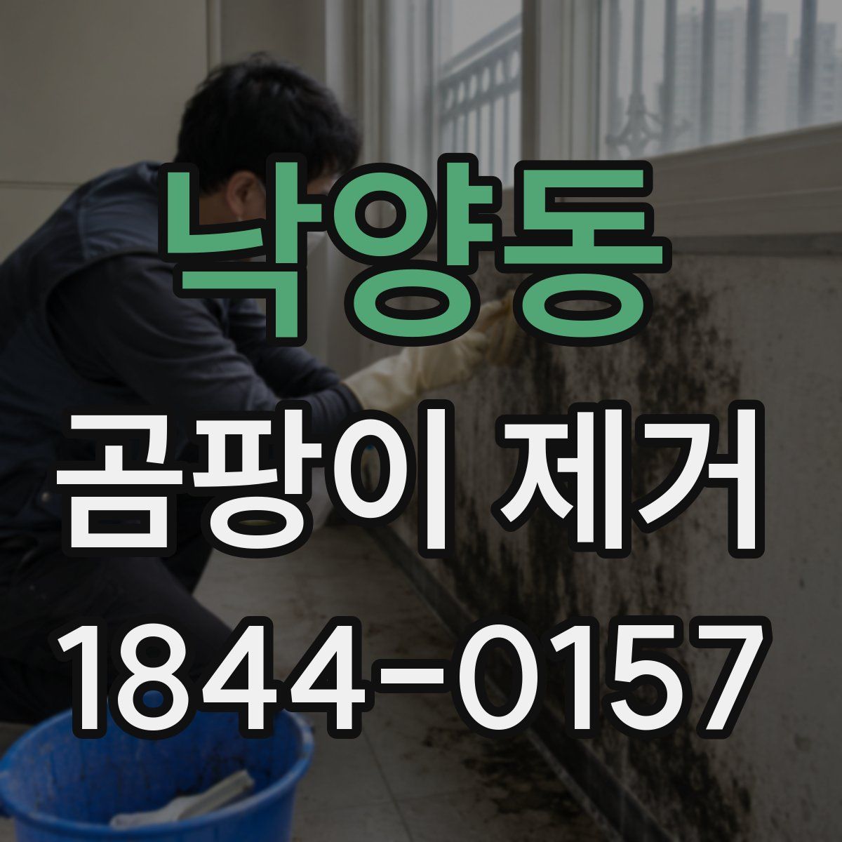 낙양동 곰팡이 제거