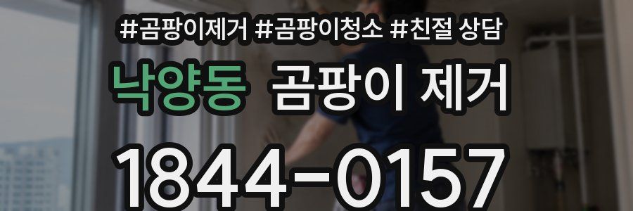 낙양동 곰팡이 제거
