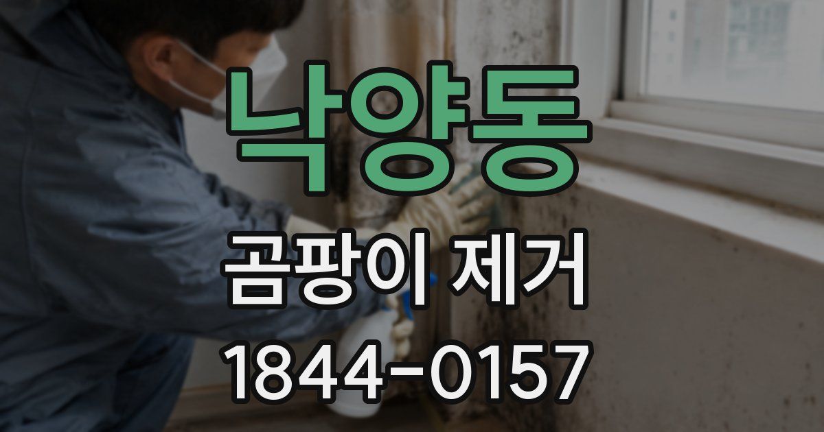 낙양동 곰팡이 제거