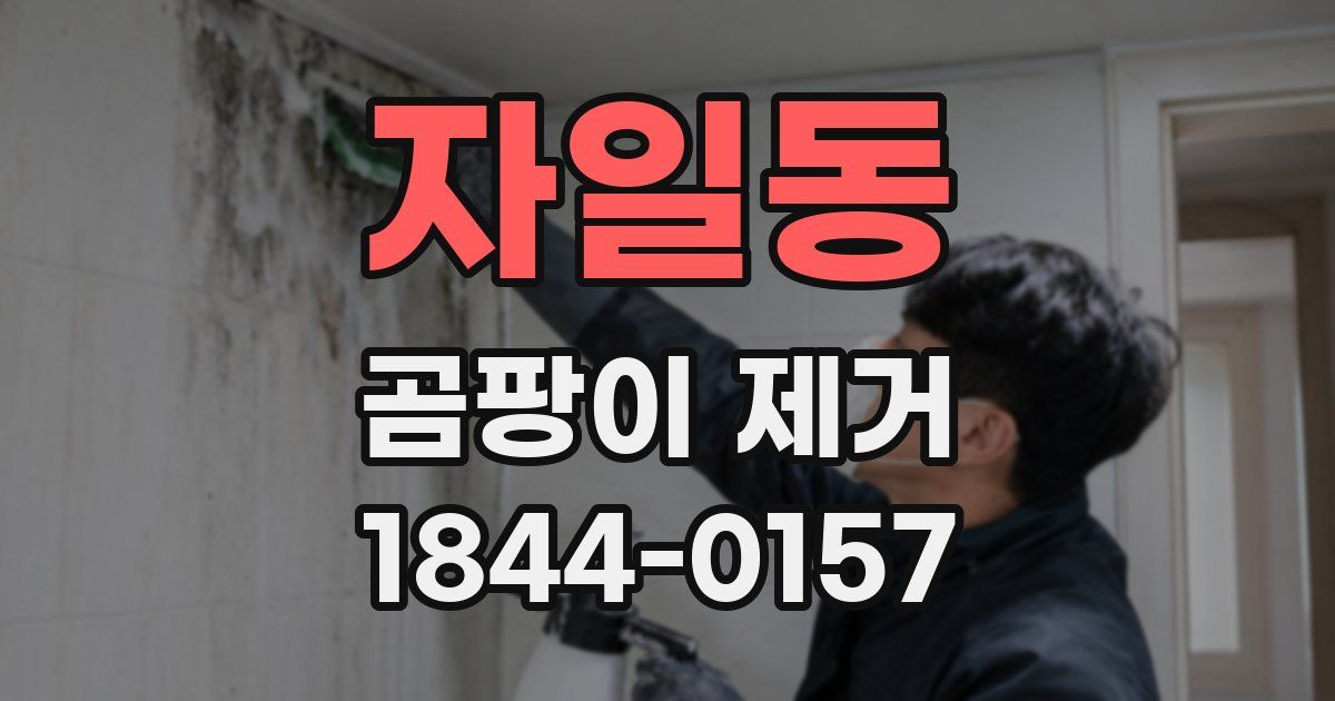 자일동 곰팡이 제거