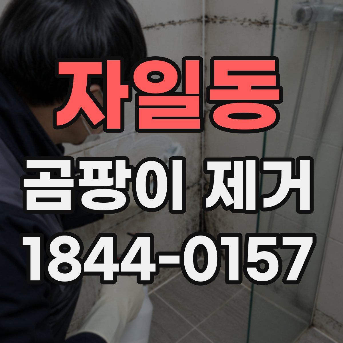 자일동 곰팡이 제거