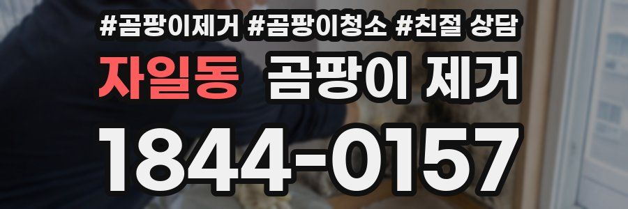 자일동 곰팡이 제거