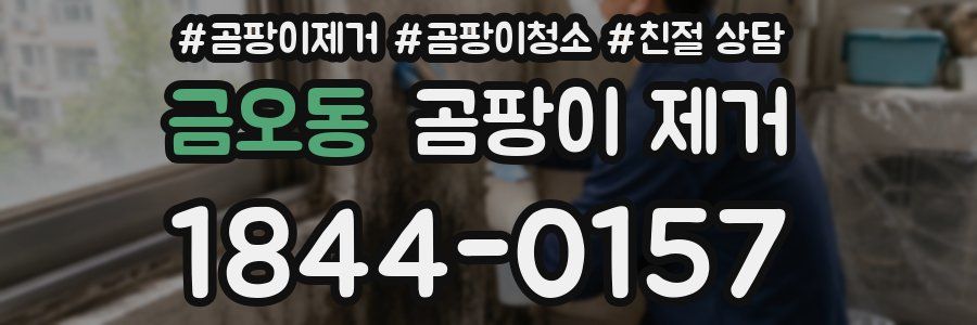 금오동 곰팡이 제거