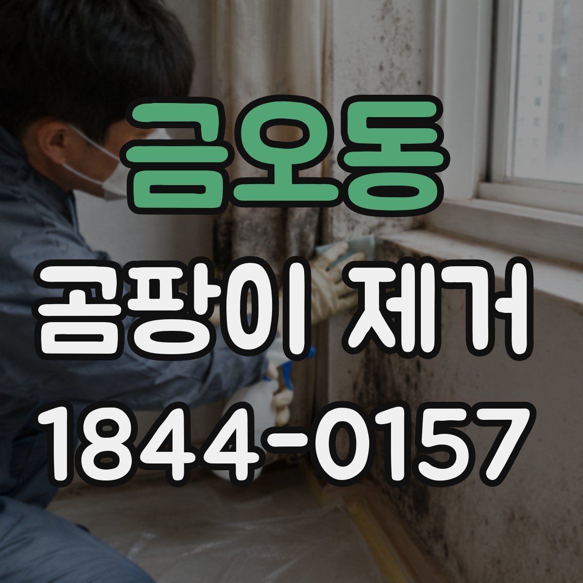 금오동 곰팡이 제거