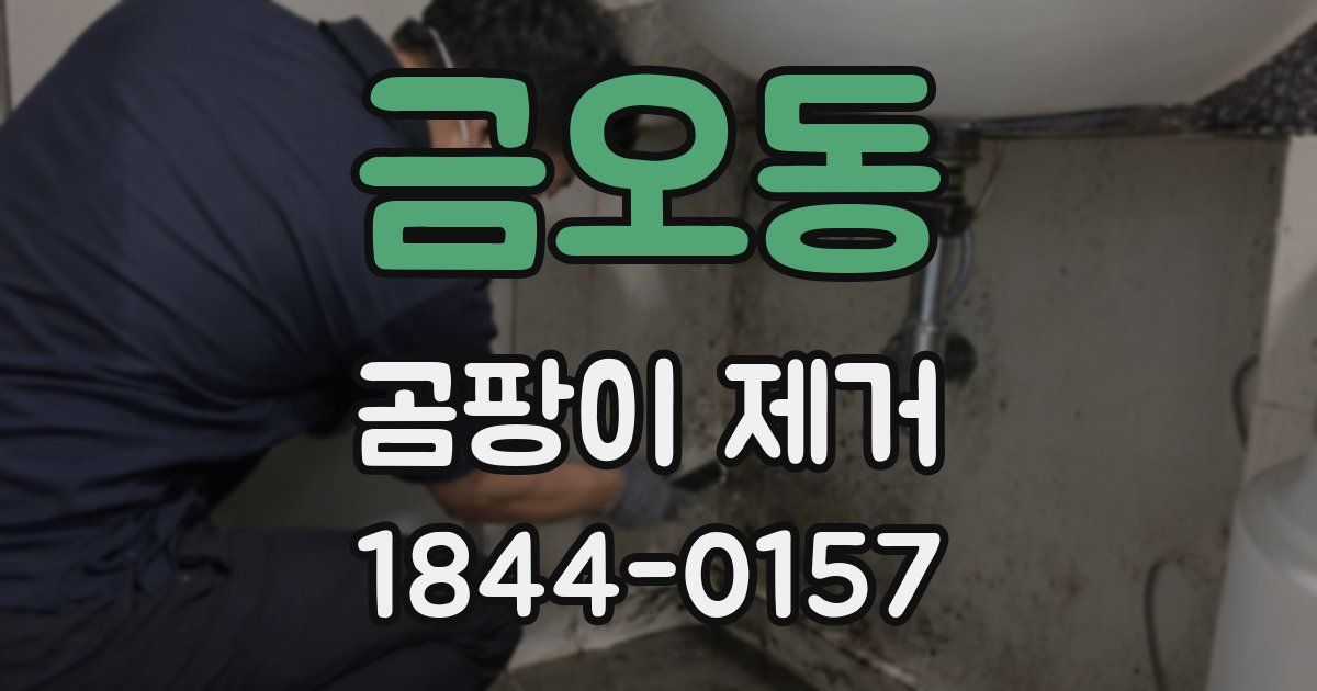 금오동 곰팡이 제거