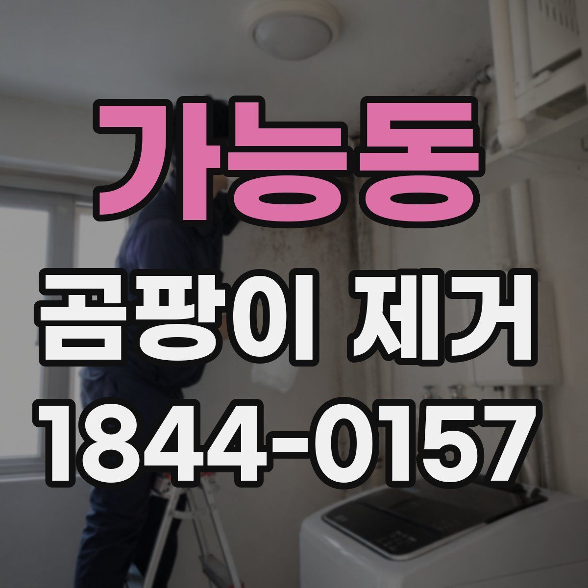 가능동 곰팡이 제거