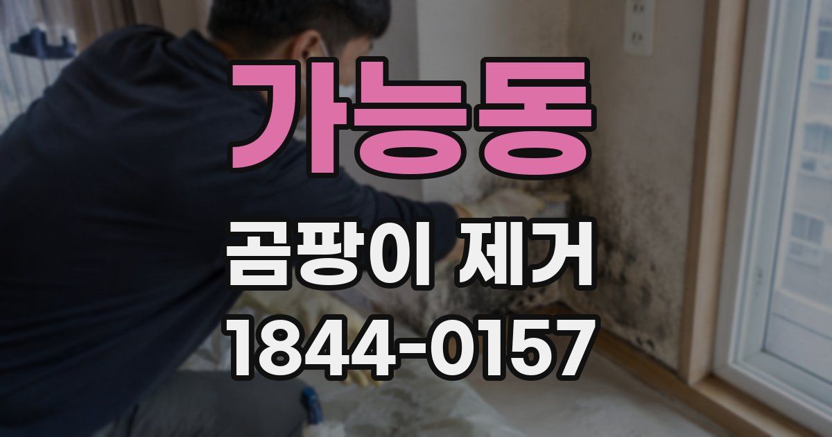 가능동 곰팡이 제거
