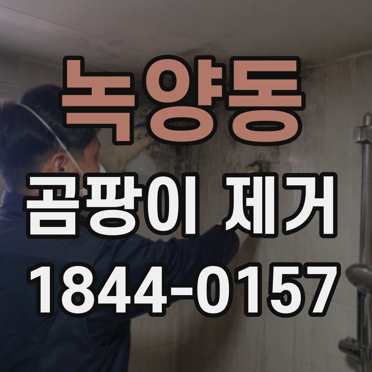 녹양동 곰팡이 제거 전문 작업이 필요한 경우 알아보기
