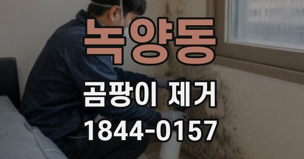 녹양동 곰팡이 제거