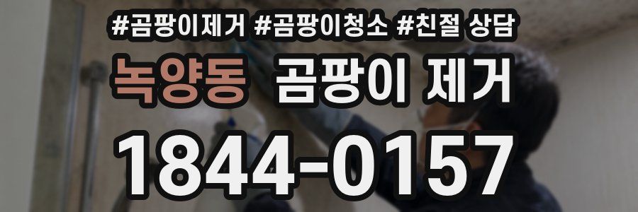 녹양동 곰팡이 제거