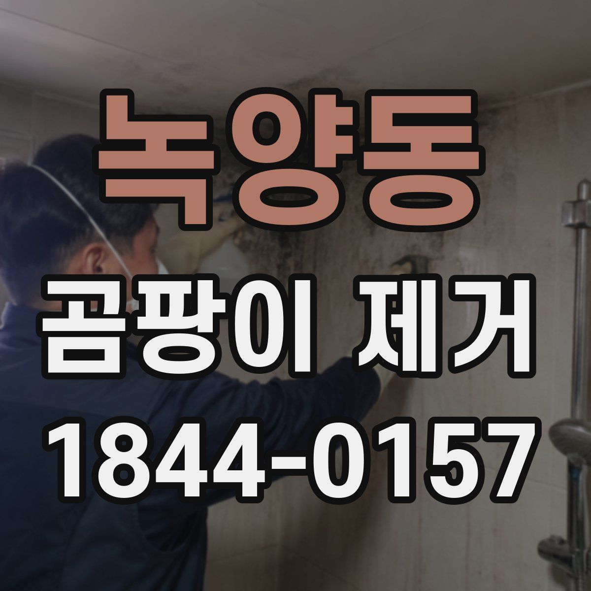 녹양동 곰팡이 제거
