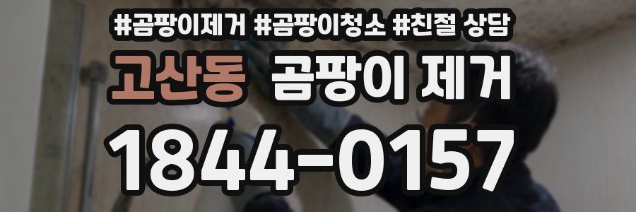 고산동 곰팡이 제거