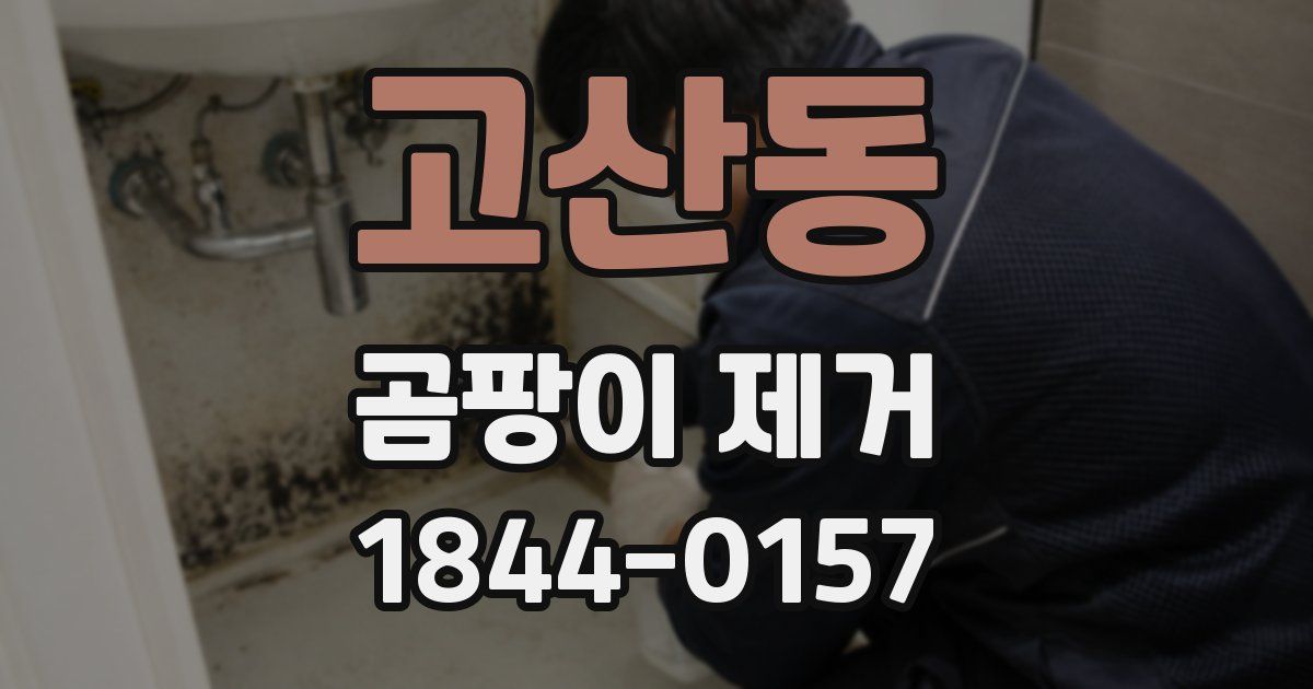 고산동 곰팡이 제거