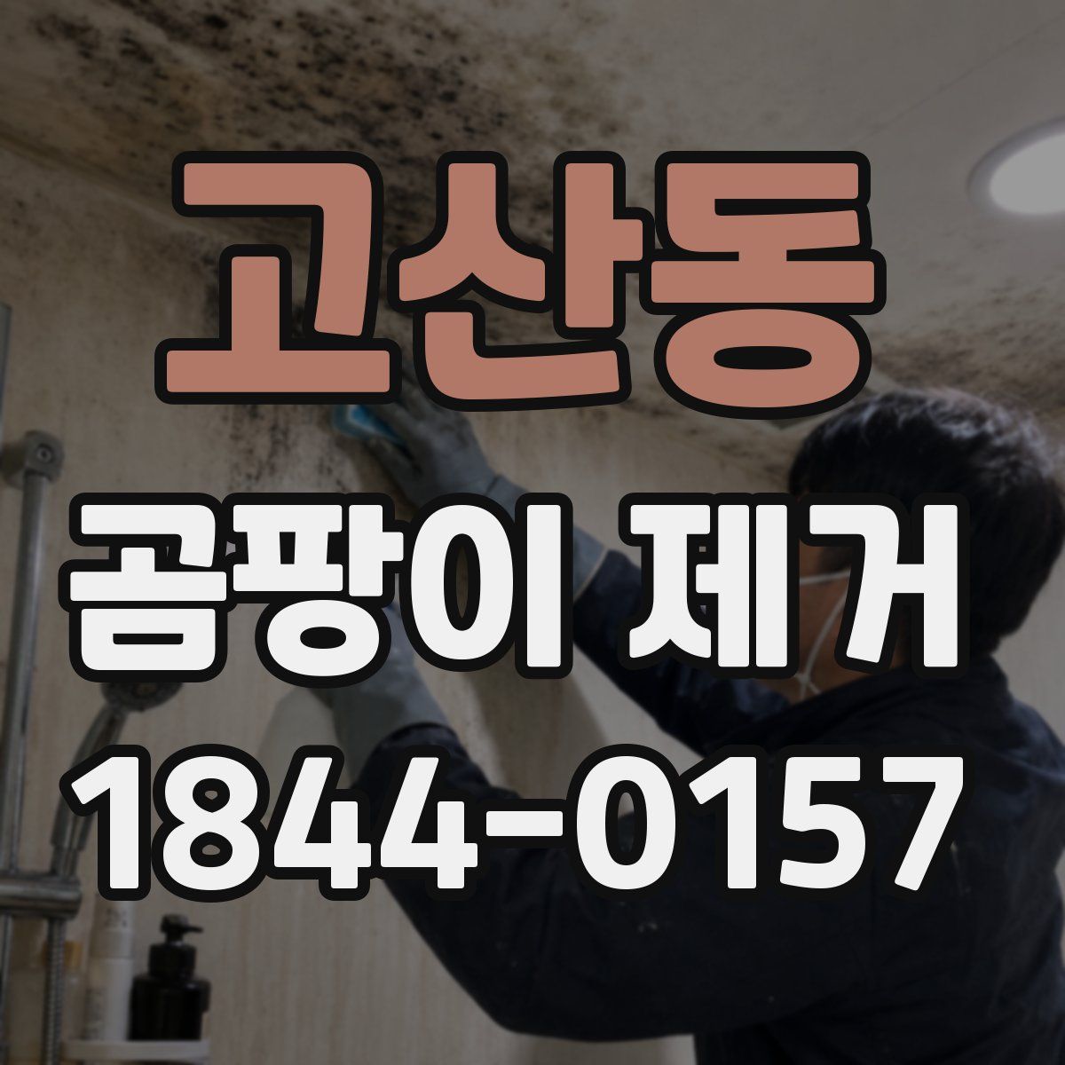 고산동 곰팡이 제거