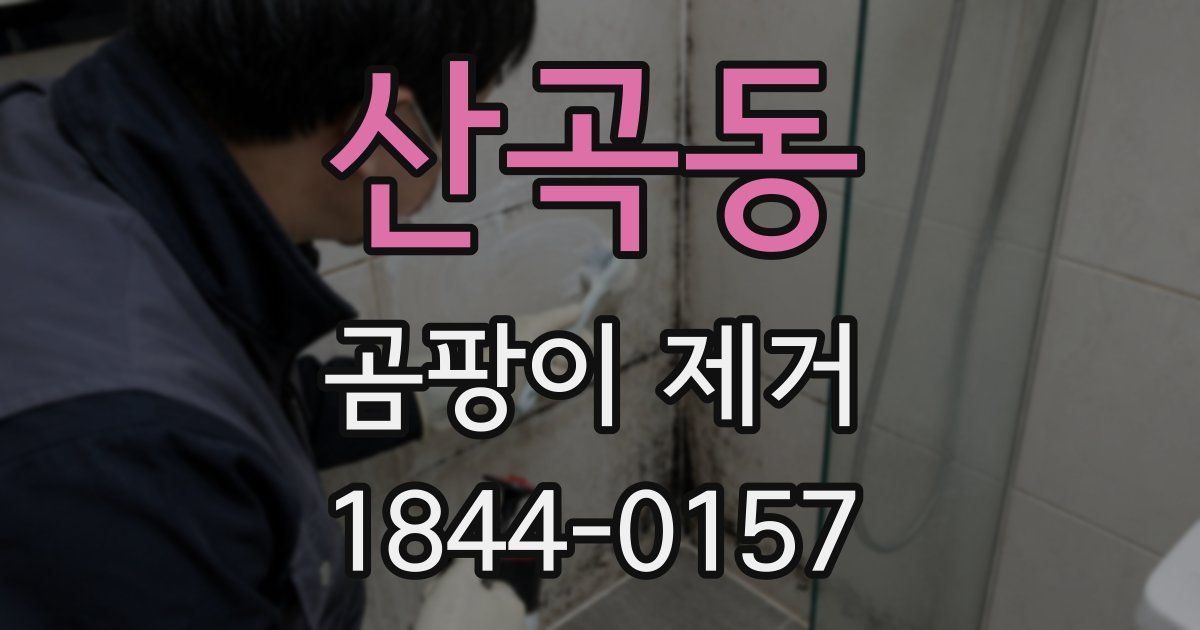 산곡동 곰팡이 제거