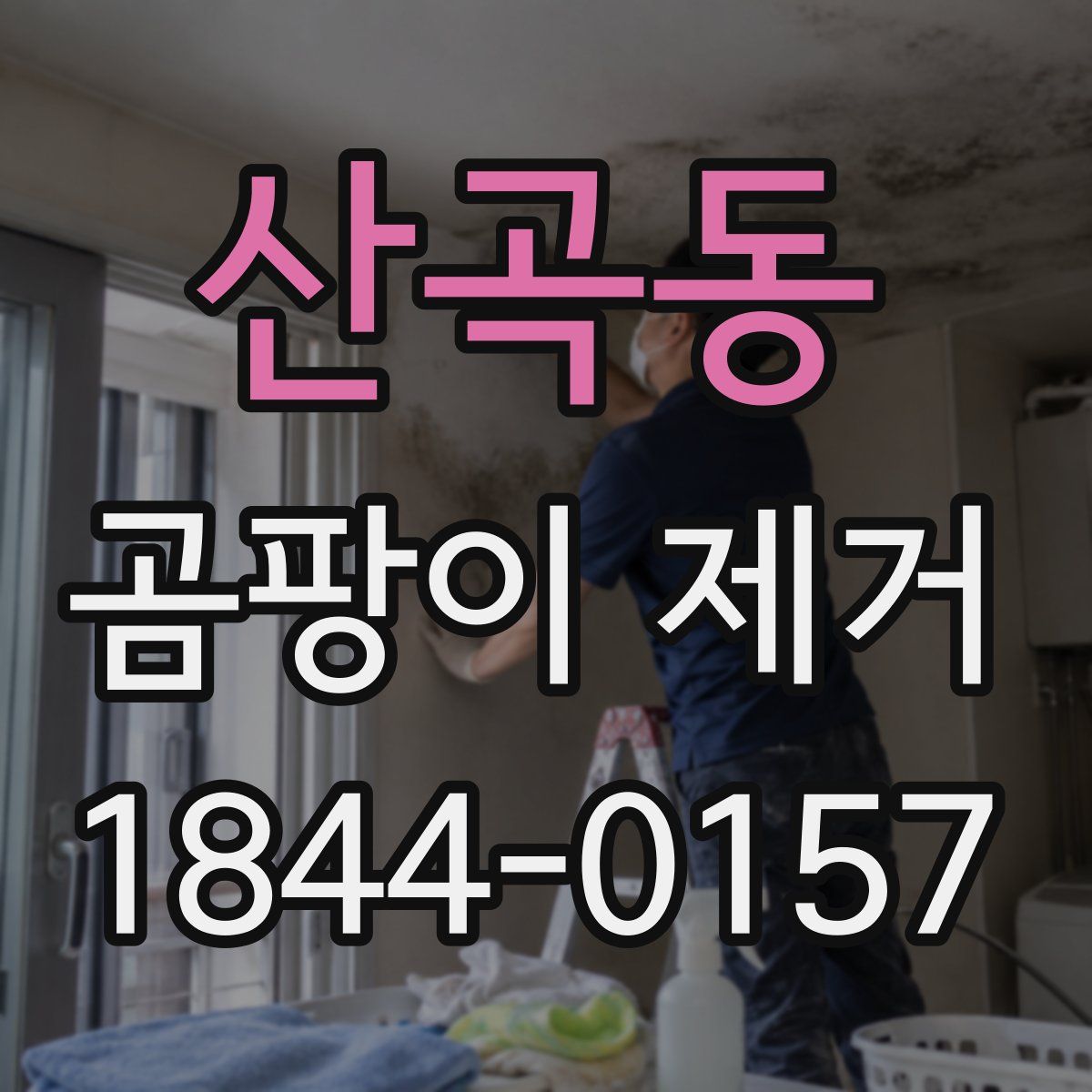 산곡동 곰팡이 제거