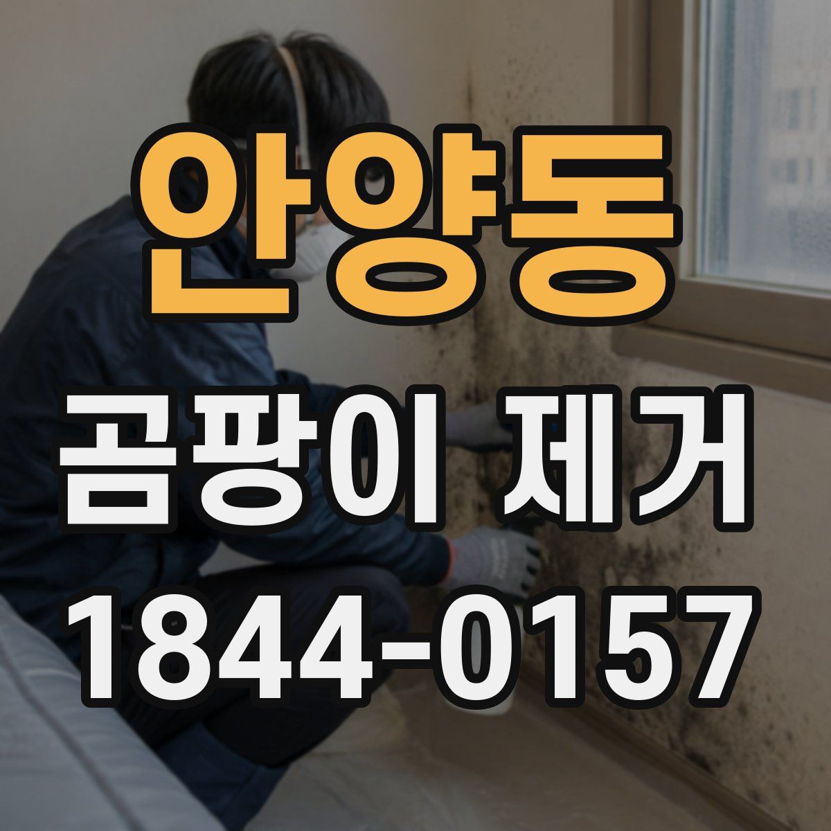 안양동 곰팡이 제거