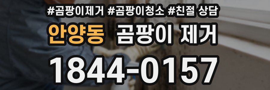 안양동 곰팡이 제거