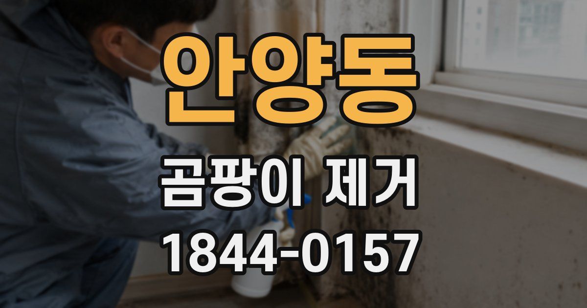 안양동 곰팡이 제거