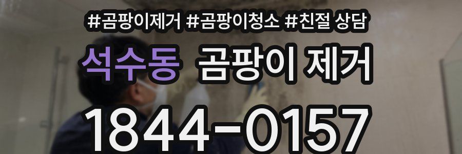 석수동 곰팡이 제거