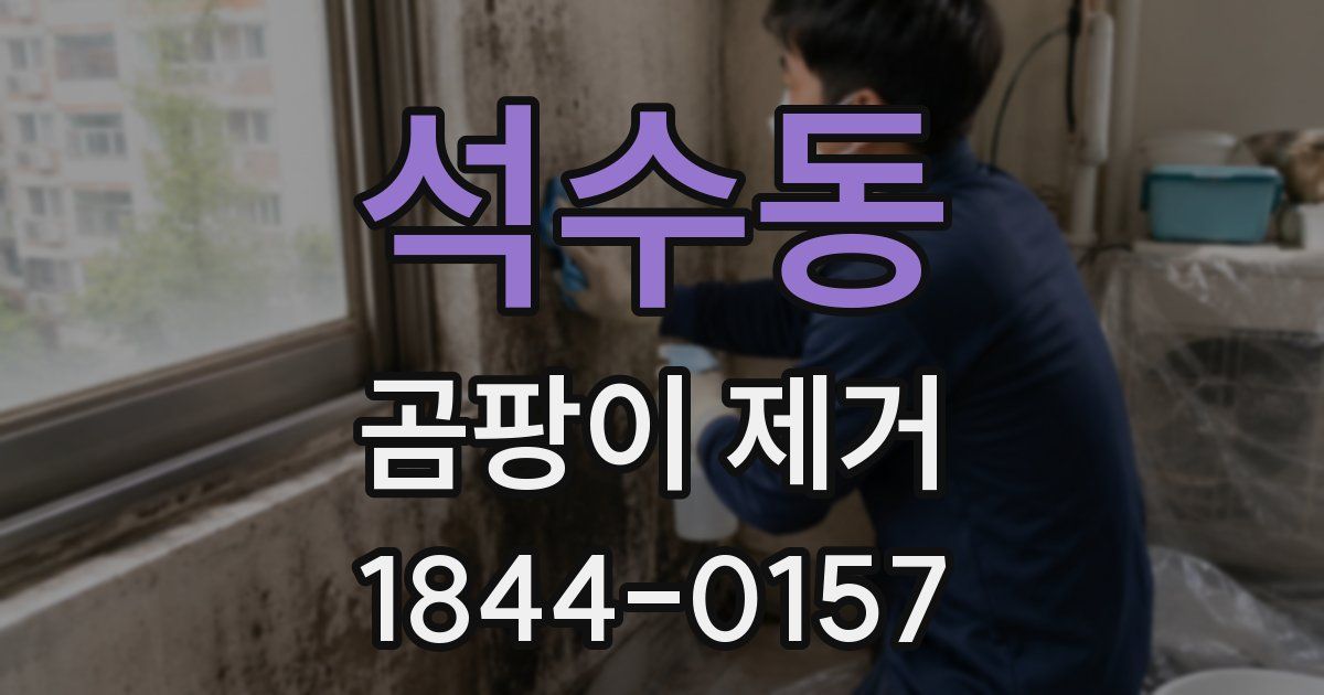 석수동 곰팡이 제거