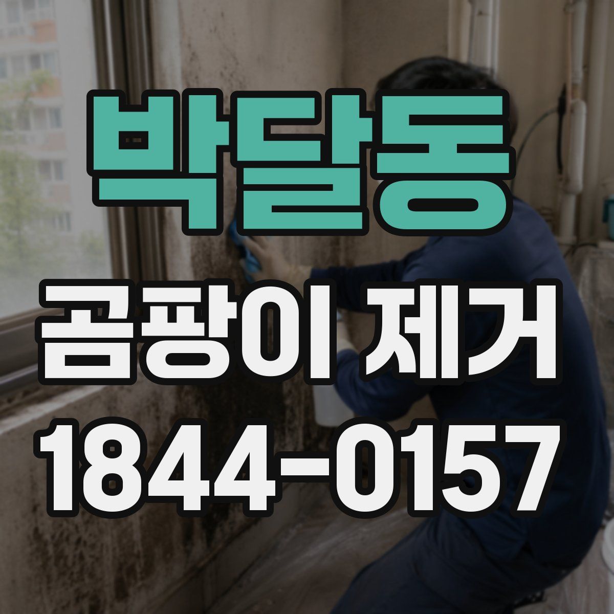 박달동 곰팡이 제거