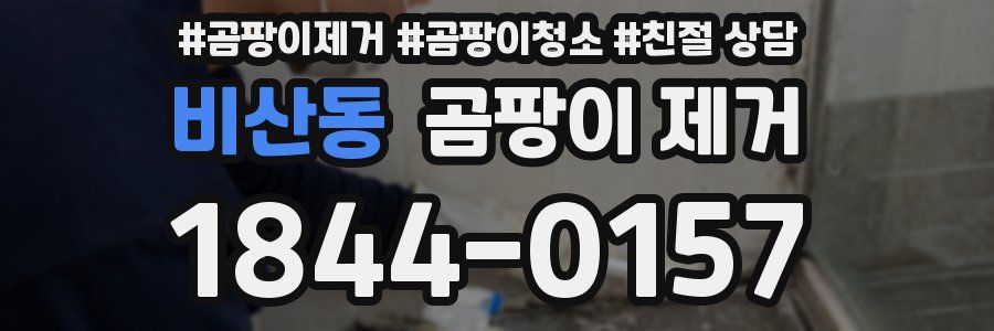 비산동 곰팡이 제거