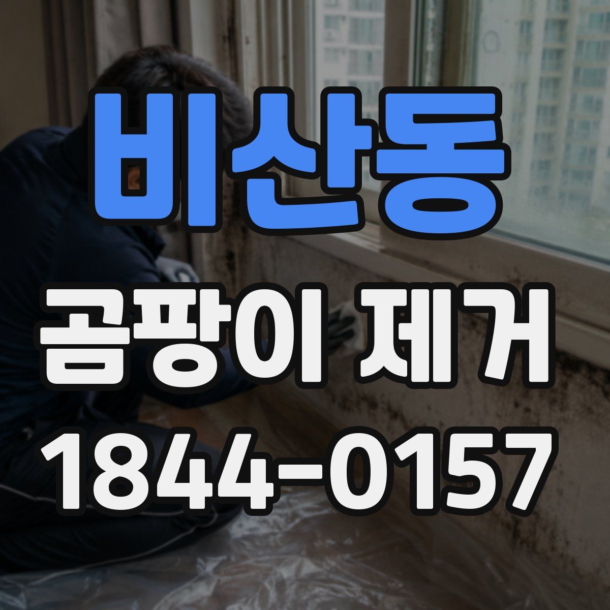 비산동 곰팡이 제거