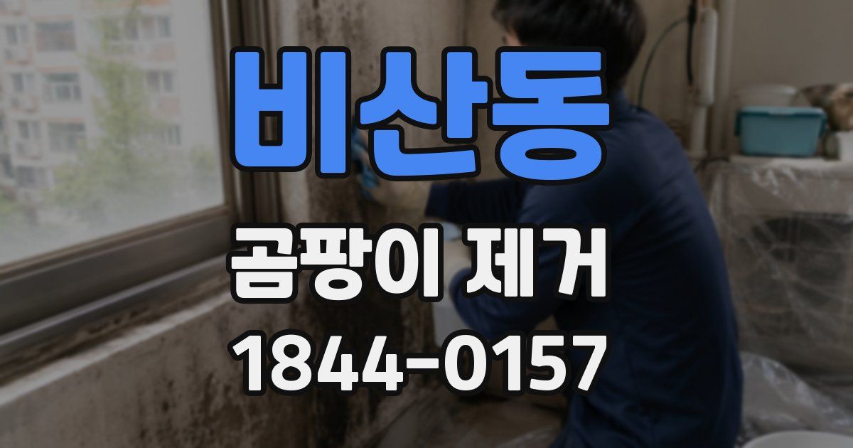 비산동 곰팡이 제거