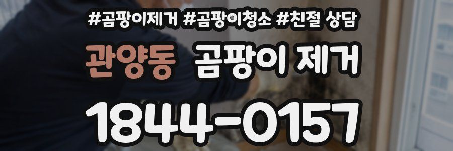 관양동 곰팡이 제거