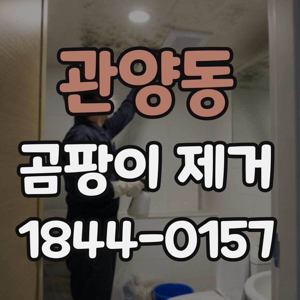 관양동 곰팡이 제거