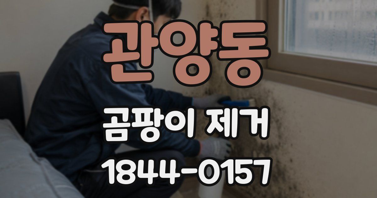 관양동 곰팡이 제거
