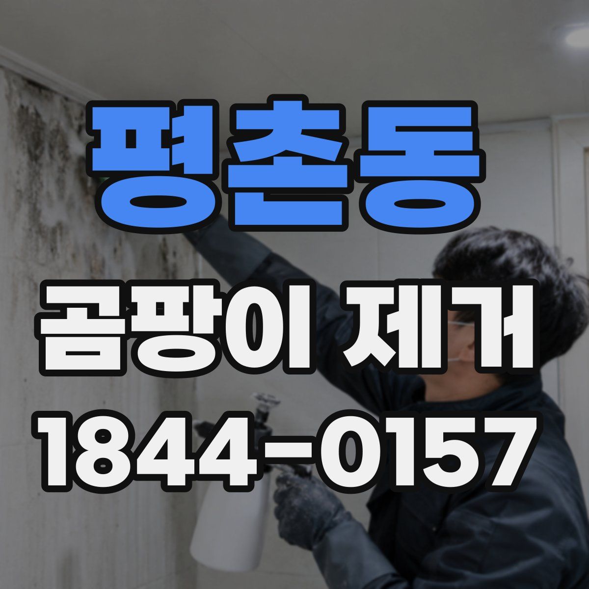 평촌동 곰팡이 제거