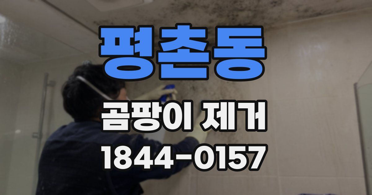 평촌동 곰팡이 제거