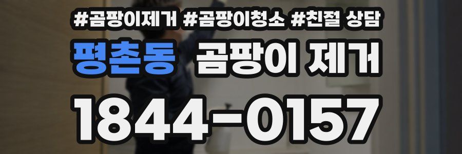 평촌동 곰팡이 제거