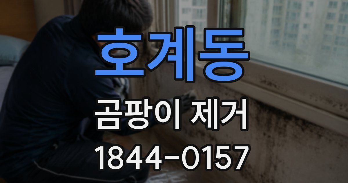 호계동 곰팡이 제거