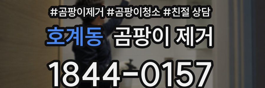 호계동 곰팡이 제거