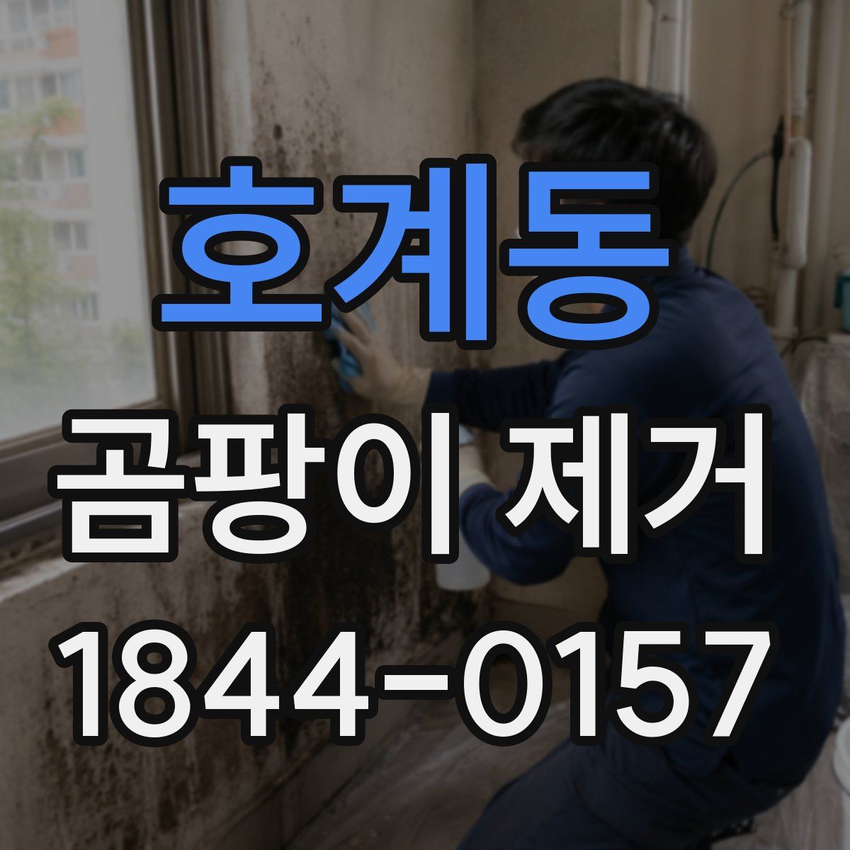 호계동 곰팡이 제거
