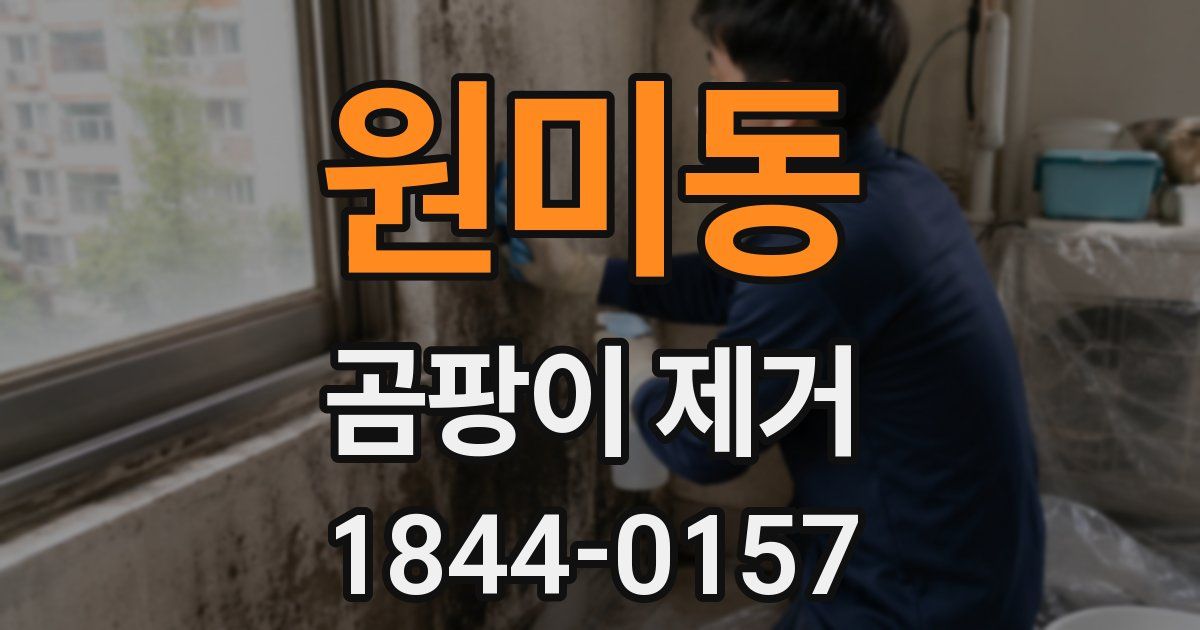 원미동 곰팡이 제거