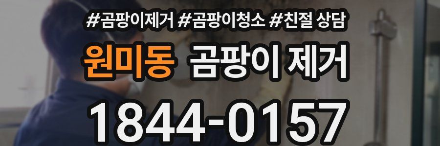 원미동 곰팡이 제거