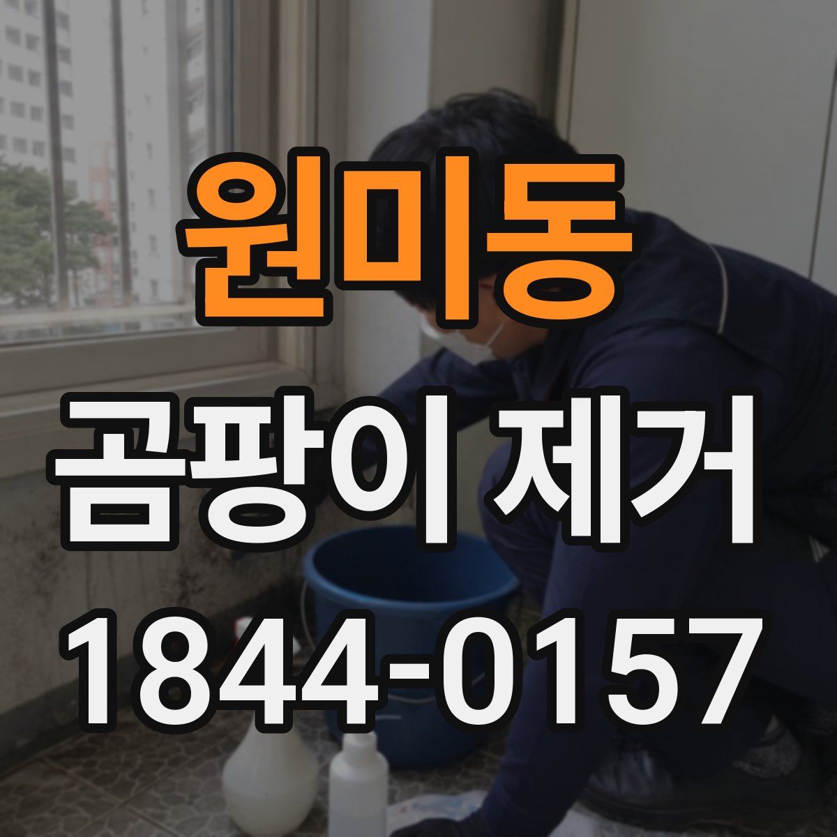 원미동 곰팡이 제거