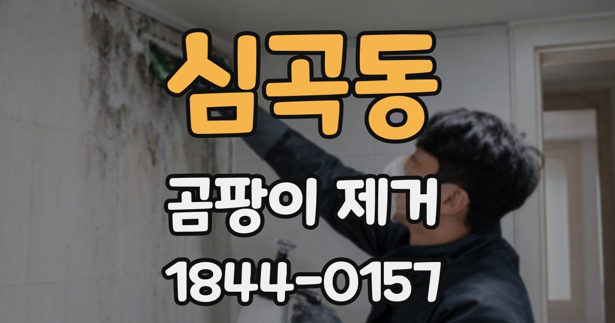 심곡동 곰팡이 제거