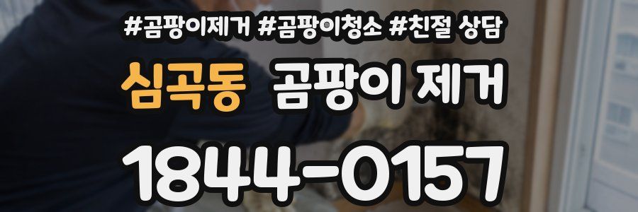 심곡동 곰팡이 제거