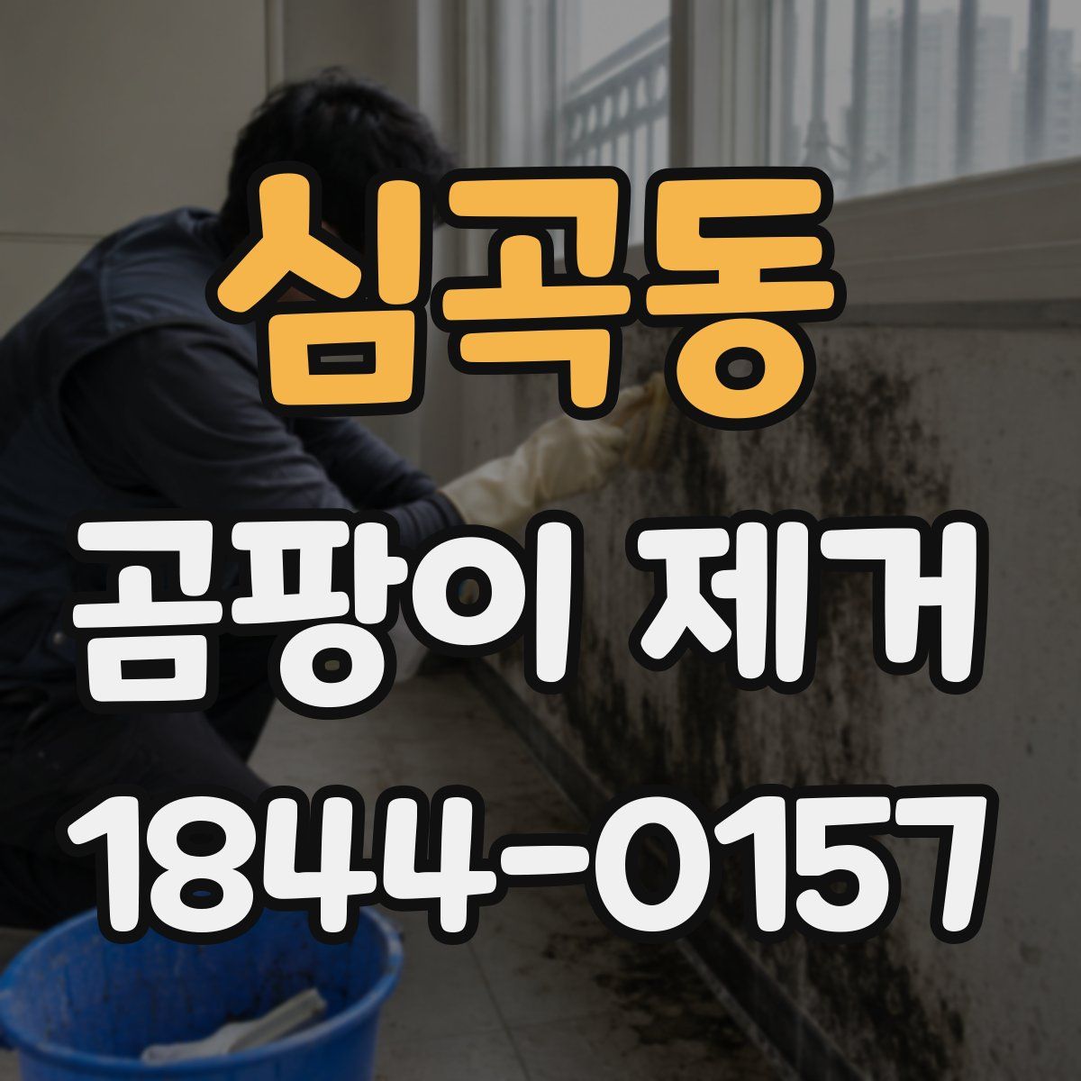 심곡동 곰팡이 제거