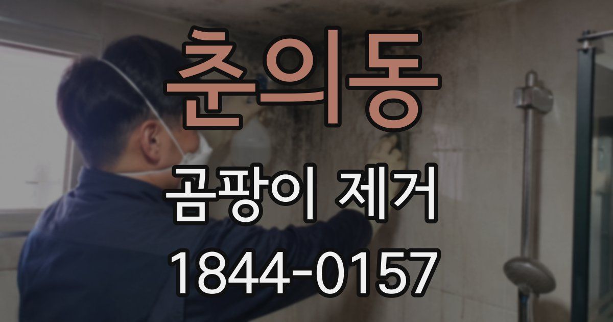 춘의동 곰팡이 제거