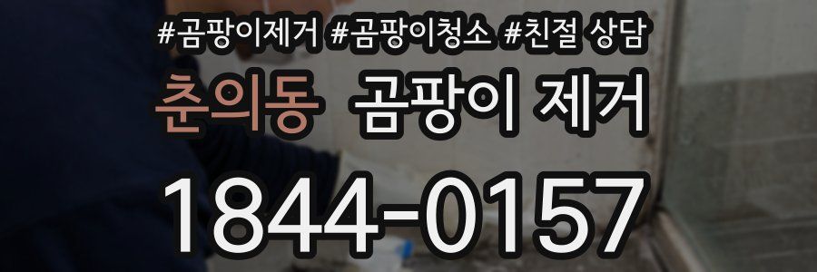 춘의동 곰팡이 제거