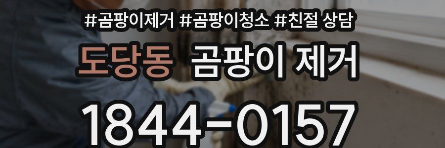 도당동 곰팡이 제거