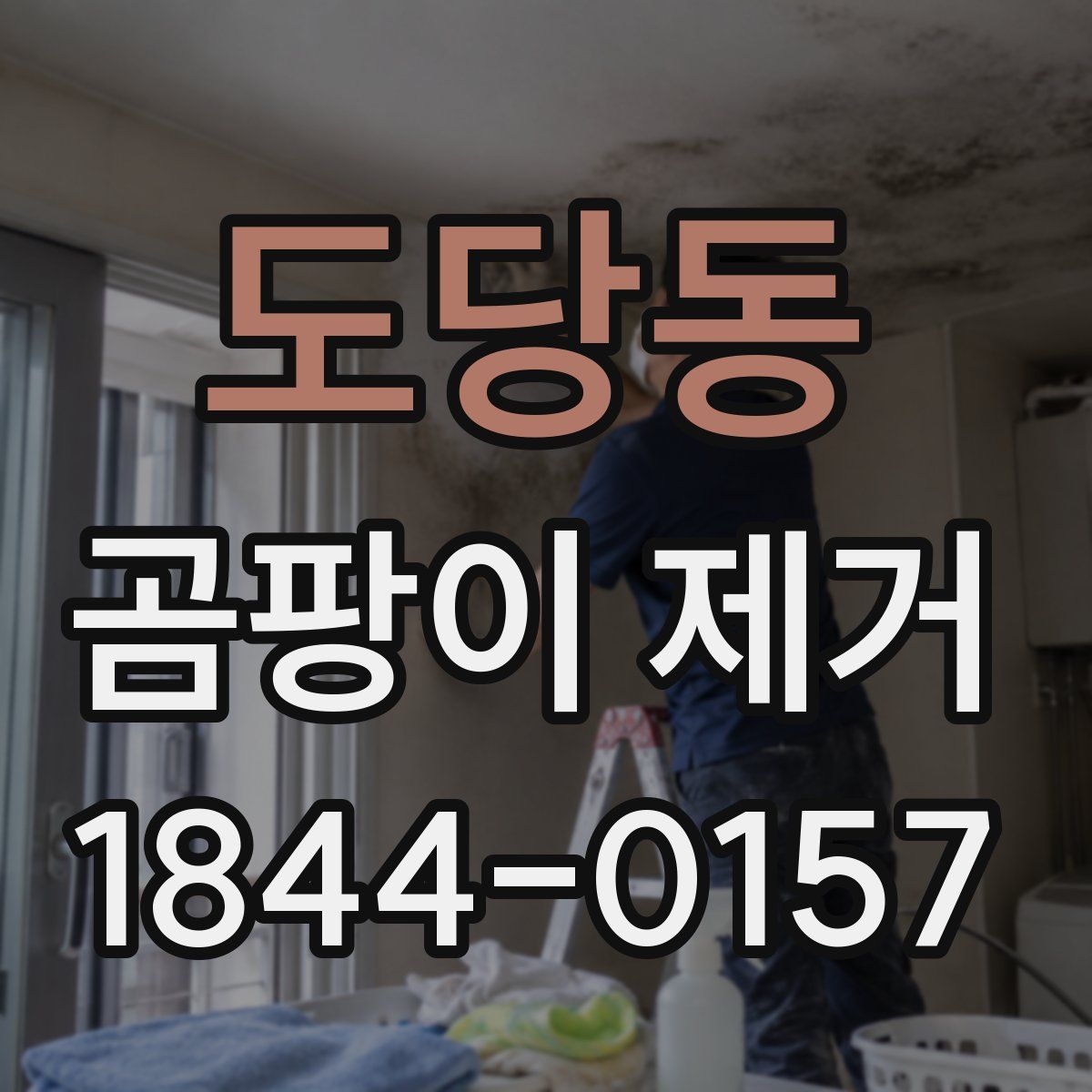 도당동 곰팡이 제거